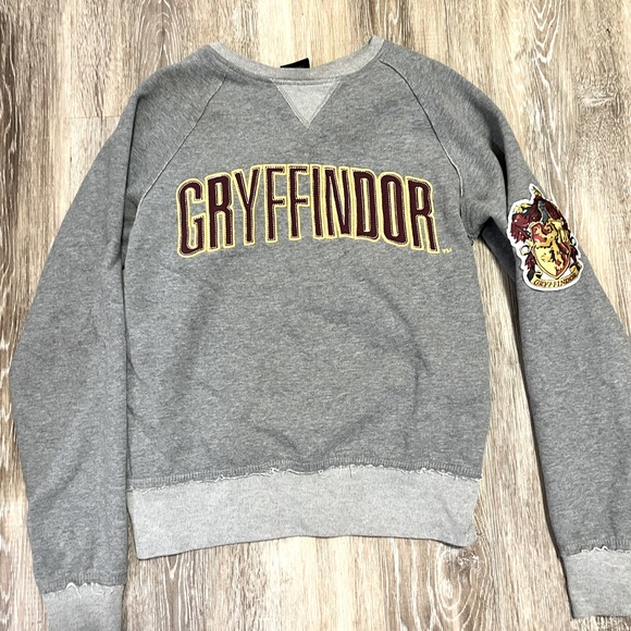 Sophia Webster Sweaters - Howgarts Harry Potter Gryffinfor sweater! Purchased at theme park